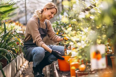 Zo houd je je tuin op orde voor wat meer peace-of-mind!
